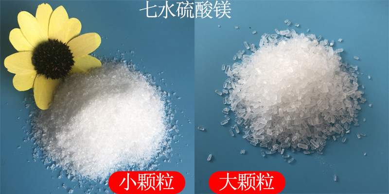 1723186959188007.jpg 未標(biāo)題-1.jpg